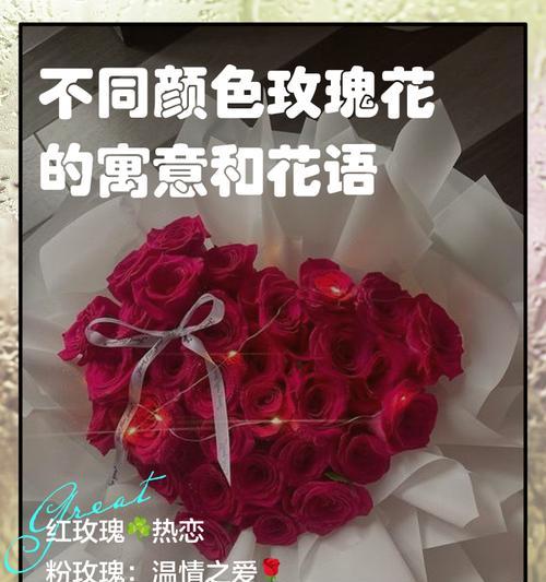 哪些花寓意爱情？爱情花语的花有哪些？