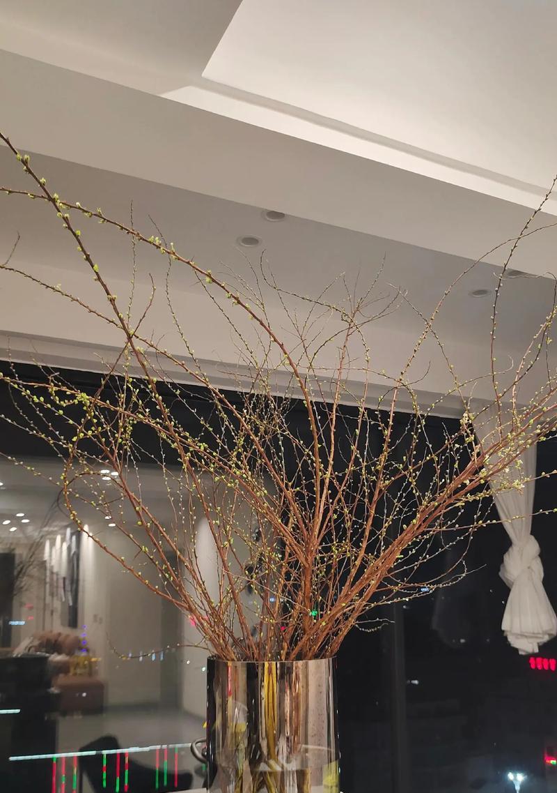 雪柳花的浪漫花语是什么？