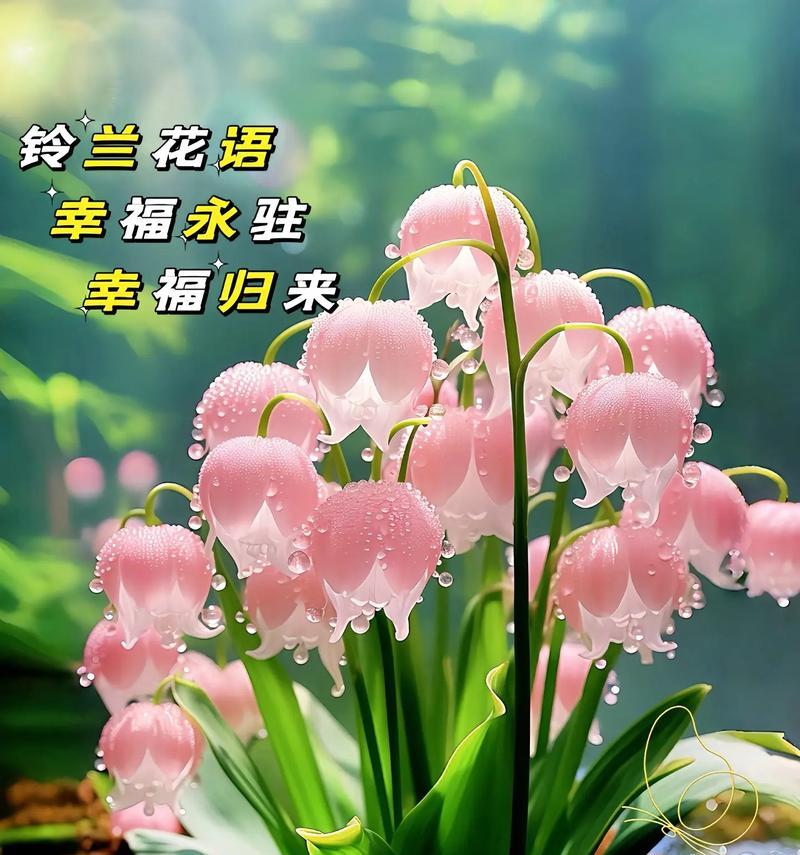 铃兰象征着哪些幸福？铃兰的幸福寓意是什么？