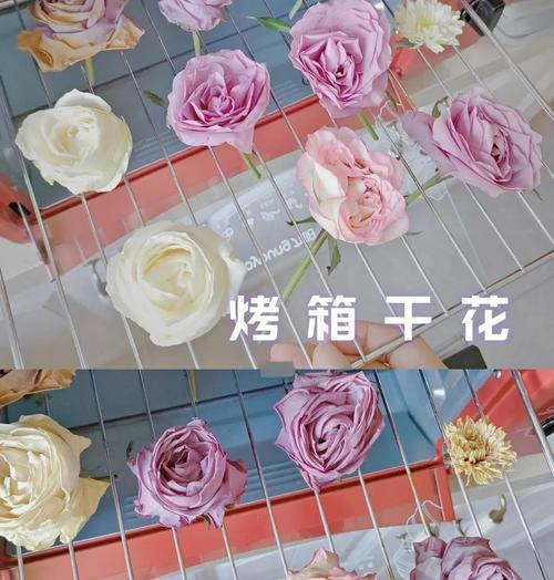 永生花如何寓意学业成功？选择寓意学业成功的永生花有哪些？