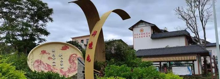 卜花村成功的象征意义是什么？