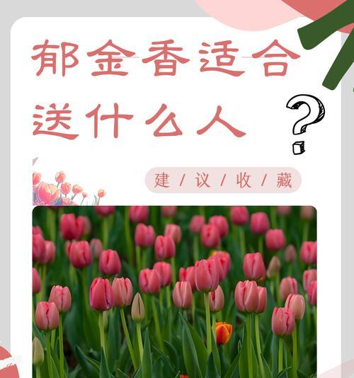 花的数量和颜色代表什么意义？花的数目和颜色有何象征？