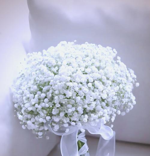 冬天手捧花的寓意是什么？冬季适合的手捧花有哪些？