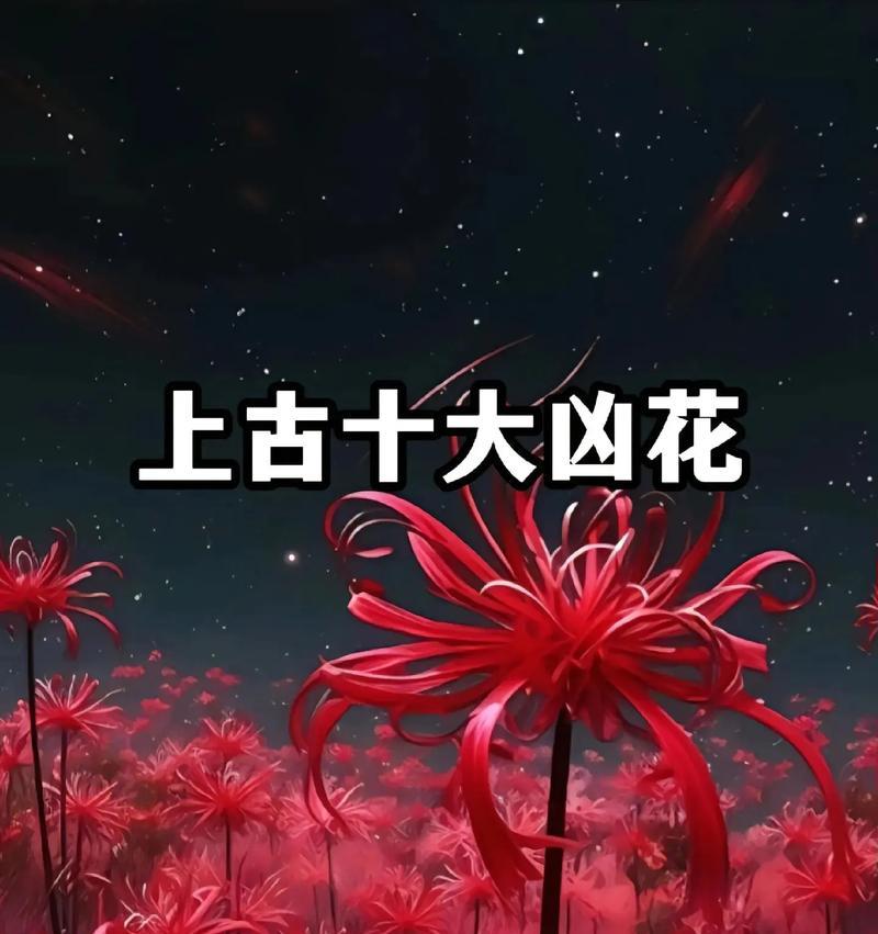 平安富贵的花语是什么？有哪些花代表？