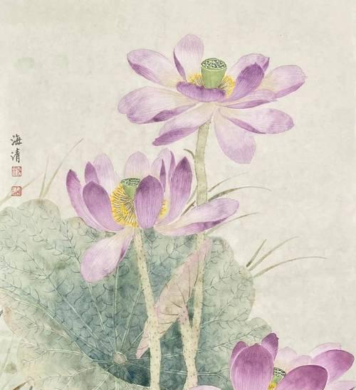 梅花代表的气节花语是什么？