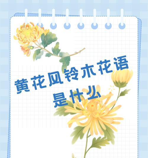 梅花代表的气节花语是什么？
