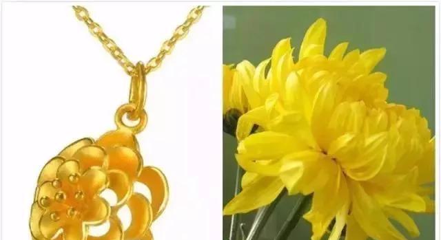 黄金如意花的寓意是什么？它的花语有哪些？
