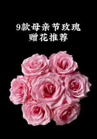 母亲节送红玫瑰代表什么意义？