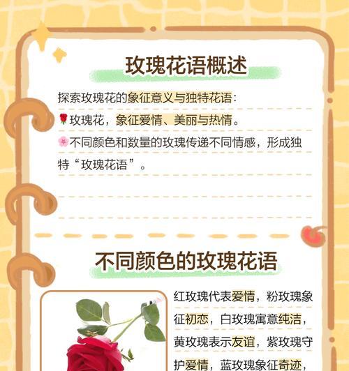 花语大全中，哪些寓意与爱情相关？