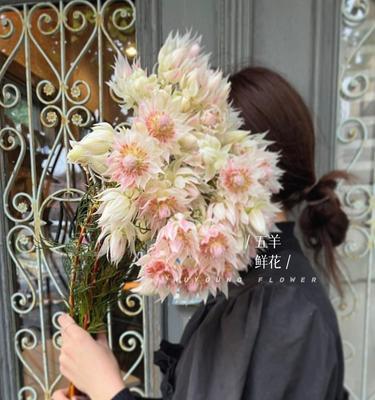 傣族新娘手捧花有何寓意？傣族新娘花捧花的含义是什么？