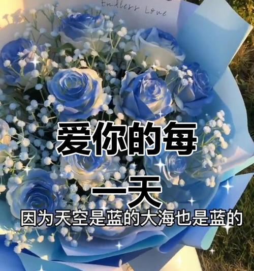 蓝色星辰花的花语和寓意是什么？