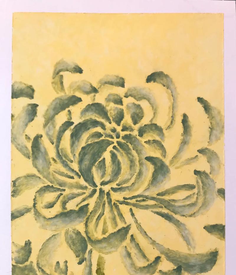 无色花有哪些寓意和象征？