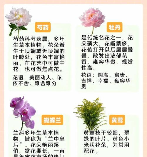 春节选花有哪些意义？如何挑选寓意吉祥的春节花卉？