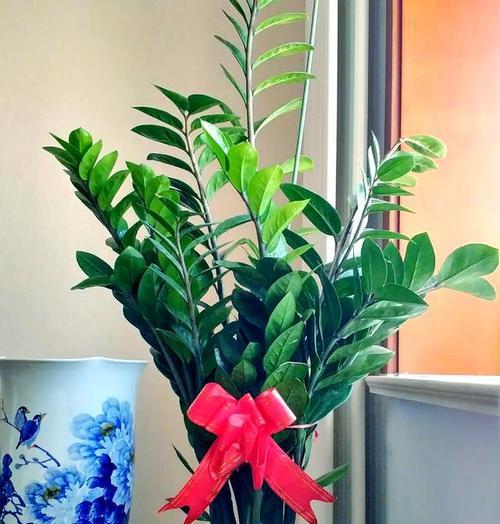 春节选花有哪些意义？如何挑选寓意吉祥的春节花卉？