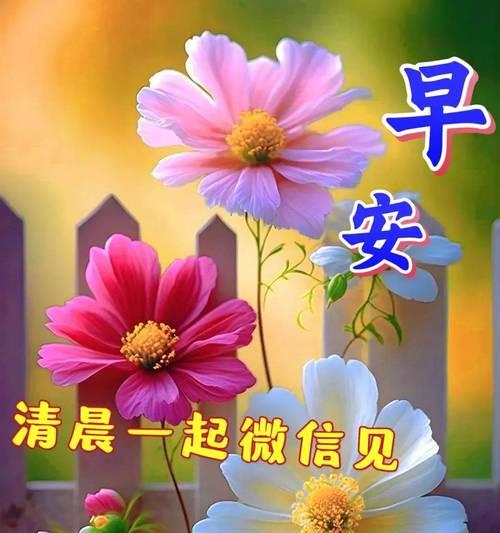 花的哪些祝福语句象征着美好祝愿？