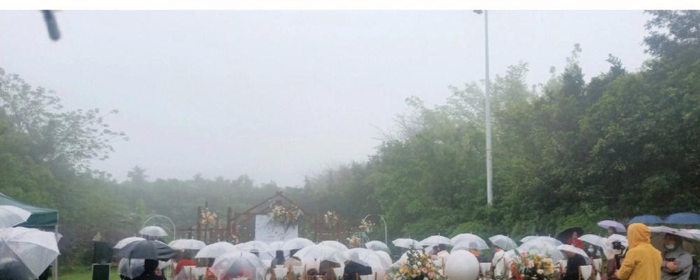 潮汕人摘七色花有何特别寓意？它们代表了什么？