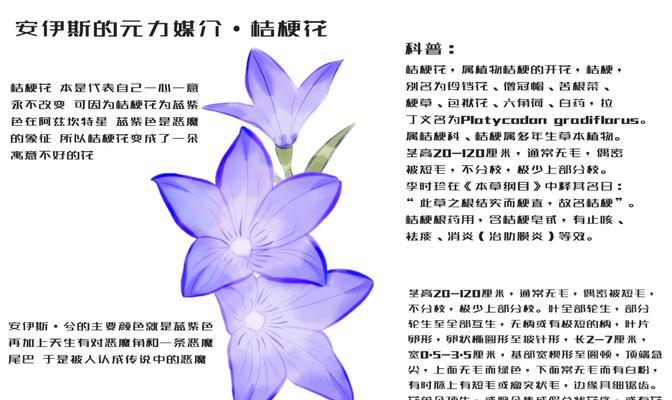红色与紫色花朵搭配的花语及其含义是什么？