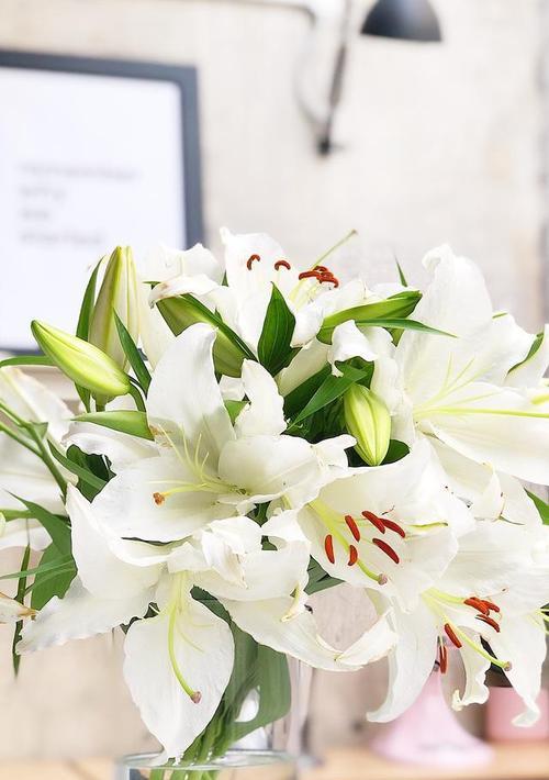 百合花浪漫寓意有哪些？