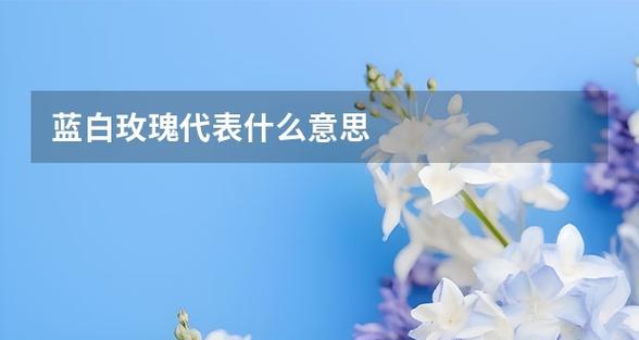 蓝白玫瑰组合的花语是什么？