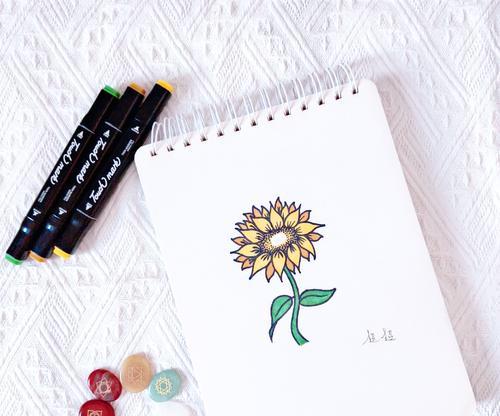 太阳花象征着什么爱情？太阳花的爱情寓意是什么？