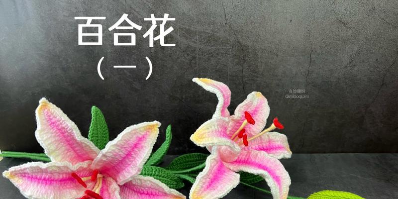 钩针花有哪些寓意健康的花？钩针花的象征意义是什么？