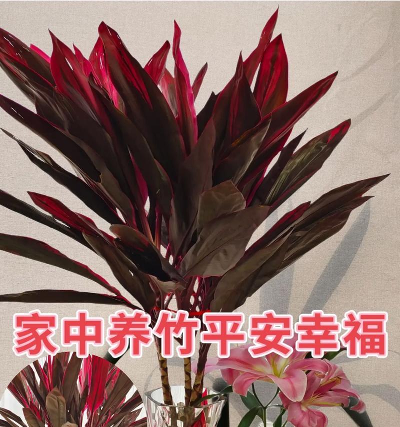 哪种花寓意家和富贵？家和富贵花语是什么？