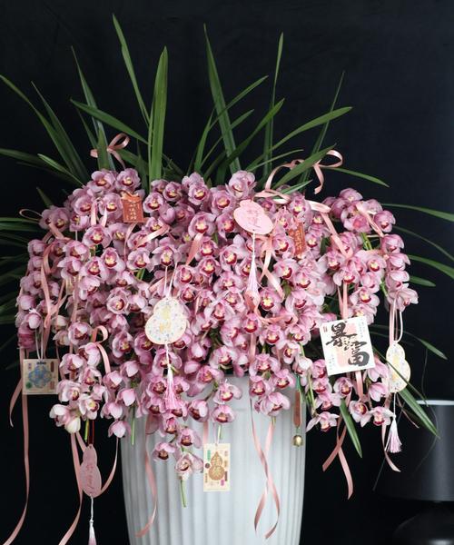 哪种花寓意家和富贵？家和富贵花语是什么？
