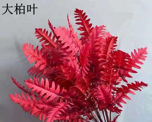 新娘手捧柏叶花有什么寓意？