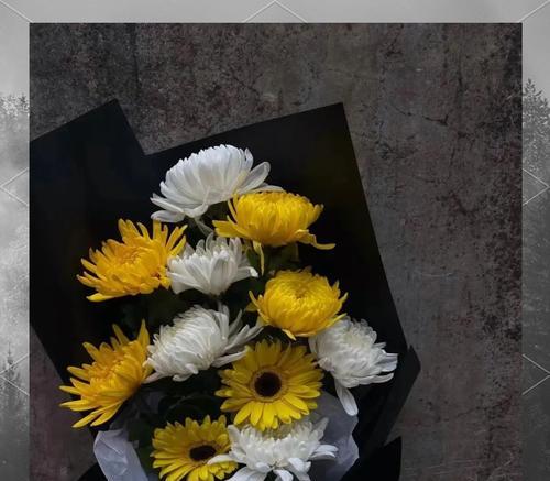 清明节最有象征意义的花是什么？清明节代表性的花有哪些？
