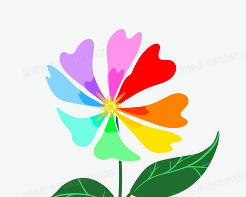 彩色花朵在教育中代表什么意义？