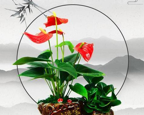 微信头像用寓意好运的花有什么好处？