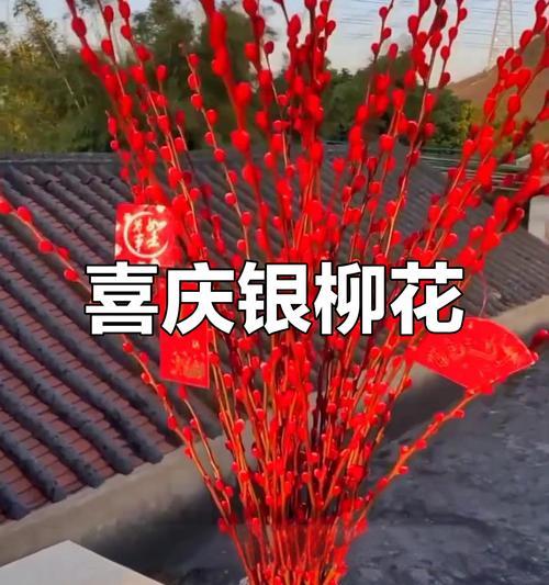 春节时花卉的寓意有哪些？