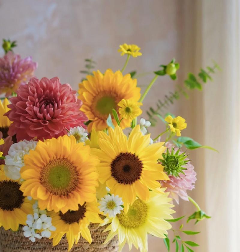 春节用什么花语祝福？春节花卉的寓意是什么？