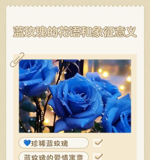 蓝色紫色花的花语寓意是什么？