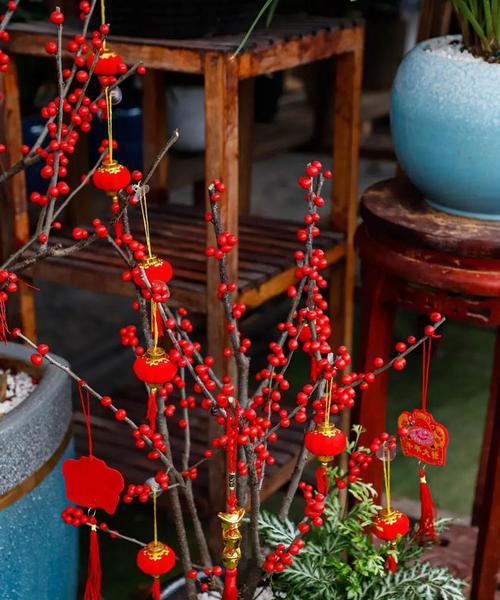 春节期间哪些花的品种和寓意最受欢迎？