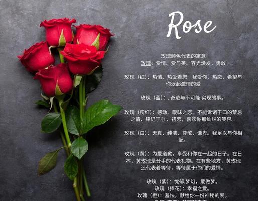 黄色香槟花象征着什么？它的意义何在？