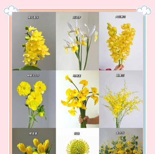 黄色花艺代表什么意义？