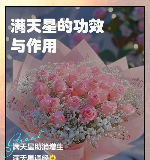 米色满天星花代表什么？它的花语有哪些含义？