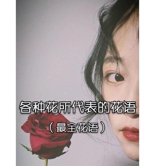 山花浪漫的花语是什么？山花有哪些浪漫的寓意？