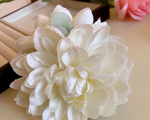 白色发夹三朵花的寓意是什么？