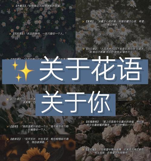 古文中的浪漫花语有哪些？如何解读古文中的花语？