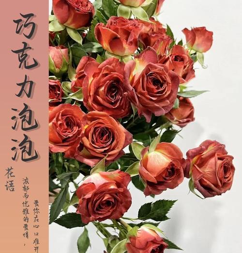 哪种花象征着有趣的爱情？它的花语是什么？