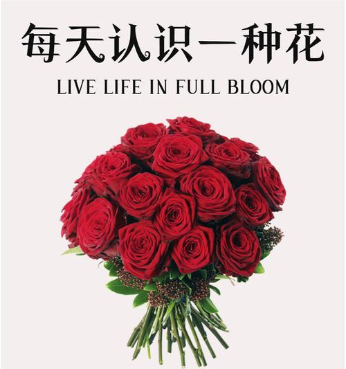 红色花象征什么？红色花语有哪些含义？