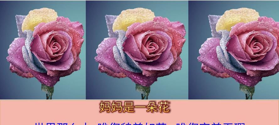 母亲节送花代表什么？一朵花的寓意有哪些？