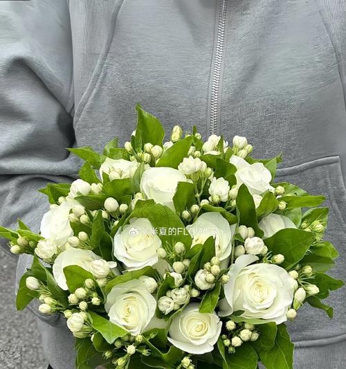 手捧花11朵茉莉花有何特别寓意？