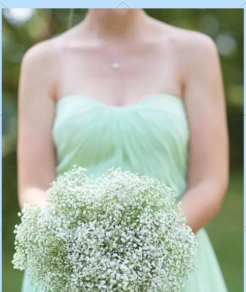 珍珠手捧花兰花的寓意是什么？珍珠手捧花兰花象征着什么？
