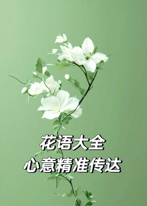 浪漫花语商品有哪些特点？