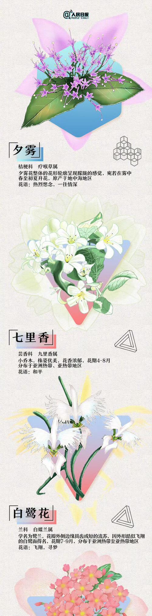 浪漫花语商品有哪些特点？