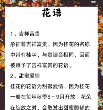象征富贵的花有哪些？富贵花朵的花语是什么？