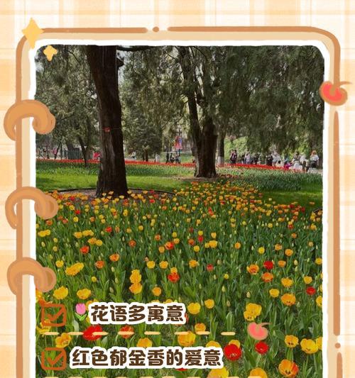 郁金香各种颜色分别代表什么意义？